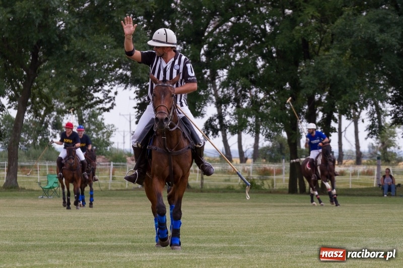Zdjęcie w galerii na portalu naszraciborz.pl: Silesian Classic Nations Cup w Zakrzowie FOTORELACJA  wiadomości z regionu