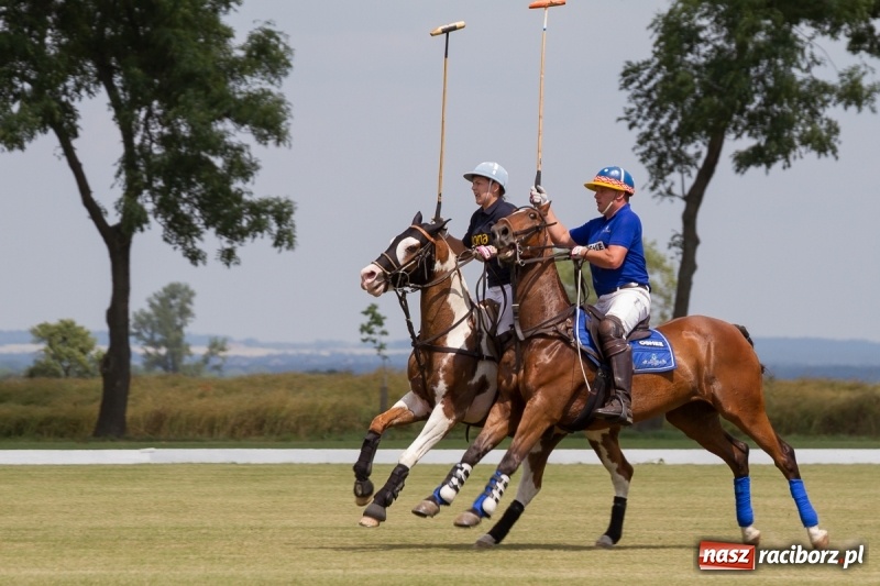 Zdjęcie w galerii na portalu naszraciborz.pl: Silesian Classic Nations Cup w Zakrzowie FOTORELACJA  wiadomości z regionu