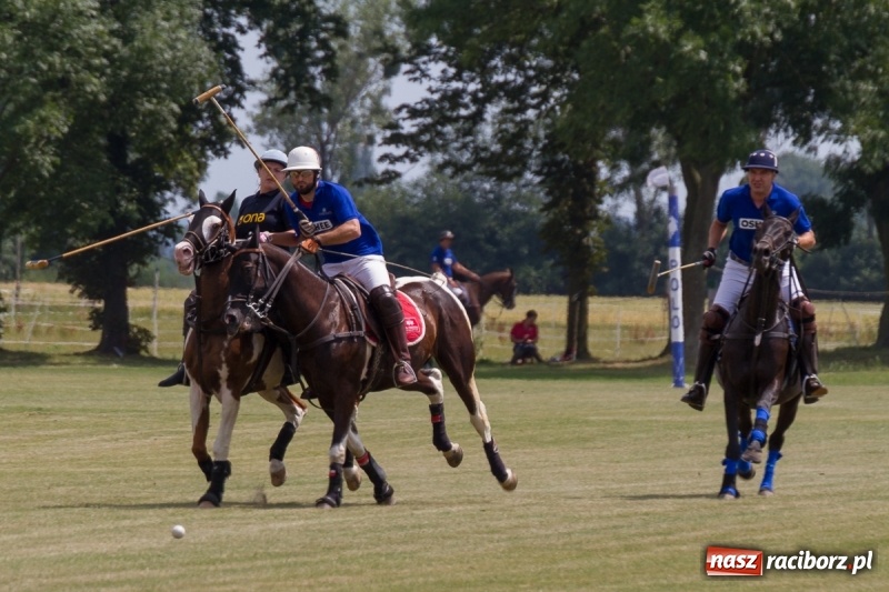 Zdjęcie w galerii na portalu naszraciborz.pl: Silesian Classic Nations Cup w Zakrzowie FOTORELACJA  wiadomości z regionu