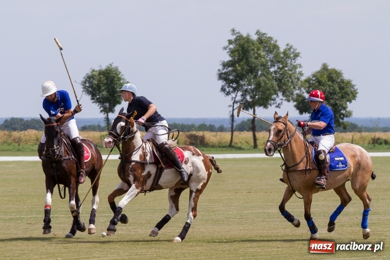 Zdjęcie w galerii na portalu naszraciborz.pl: Silesian Classic Nations Cup w Zakrzowie FOTORELACJA  wiadomości z regionu