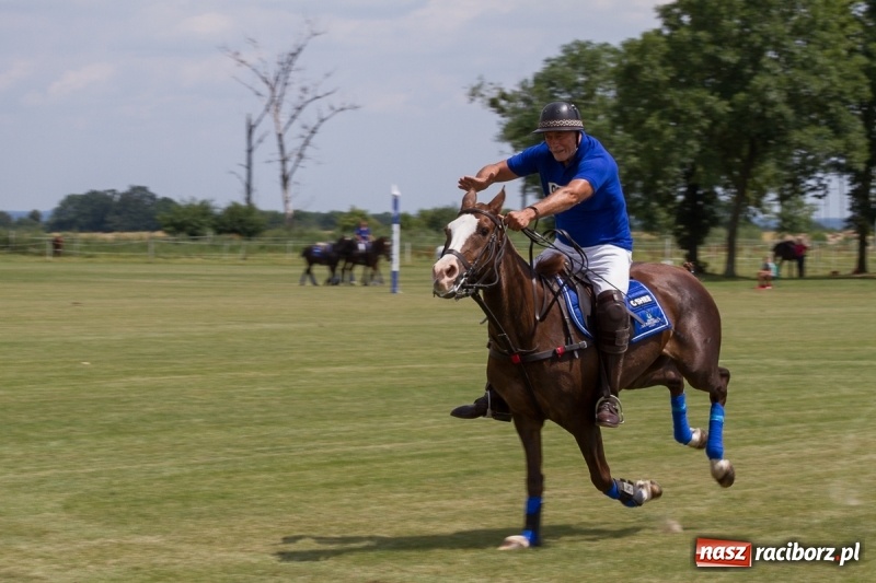 Zdjęcie w galerii na portalu naszraciborz.pl: Silesian Classic Nations Cup w Zakrzowie FOTORELACJA  wiadomości z regionu