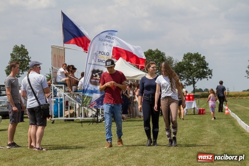Zdjęcie w galerii na portalu naszraciborz.pl: Silesian Classic Nations Cup w Zakrzowie FOTORELACJA  wiadomości z regionu