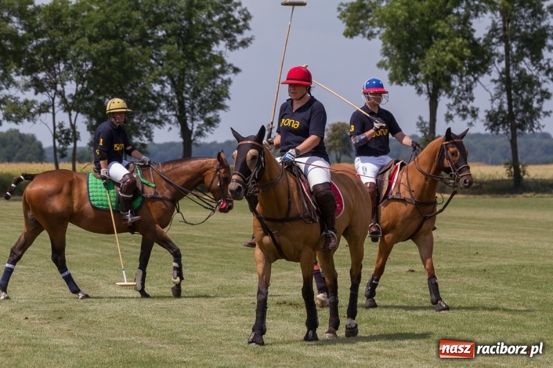 Zdjęcie w galerii na portalu naszraciborz.pl: Silesian Classic Nations Cup w Zakrzowie FOTORELACJA  wiadomości z regionu