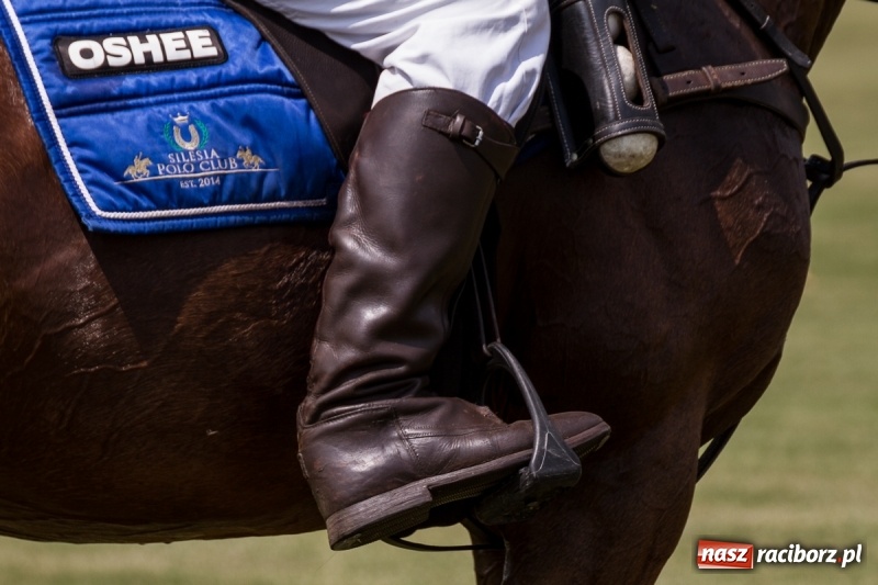 Zdjęcie w galerii na portalu naszraciborz.pl: Silesian Classic Nations Cup w Zakrzowie FOTORELACJA  wiadomości z regionu