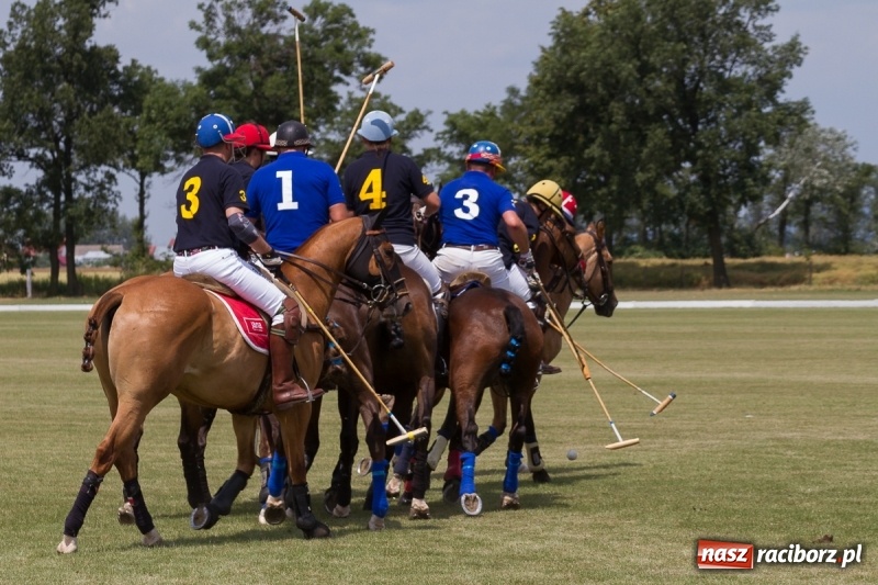 Zdjęcie w galerii na portalu naszraciborz.pl: Silesian Classic Nations Cup w Zakrzowie FOTORELACJA  wiadomości z regionu