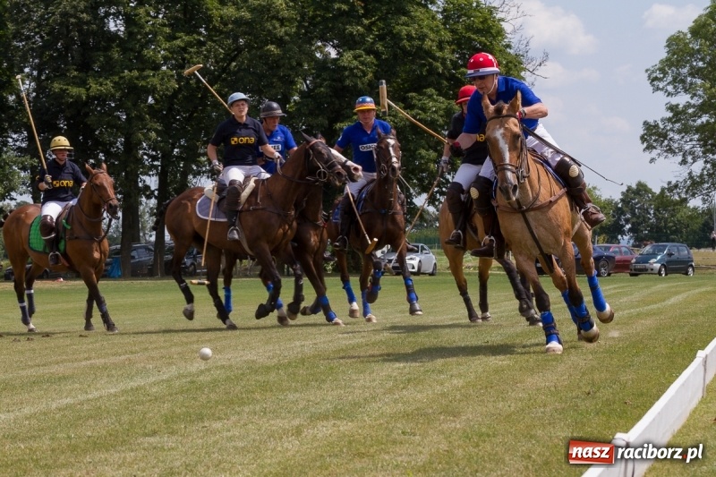 Zdjęcie w galerii na portalu naszraciborz.pl: Silesian Classic Nations Cup w Zakrzowie FOTORELACJA  wiadomości z regionu