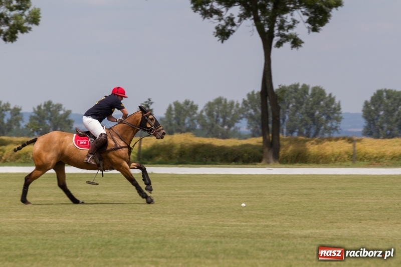 Zdjęcie w galerii na portalu naszraciborz.pl: Silesian Classic Nations Cup w Zakrzowie FOTORELACJA  wiadomości z regionu
