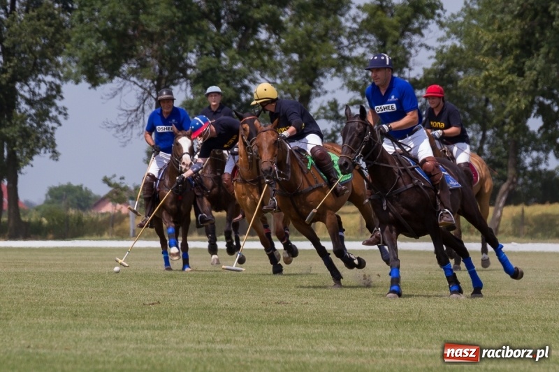 Zdjęcie w galerii na portalu naszraciborz.pl: Silesian Classic Nations Cup w Zakrzowie FOTORELACJA  wiadomości z regionu