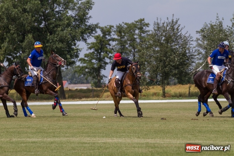 Zdjęcie w galerii na portalu naszraciborz.pl: Silesian Classic Nations Cup w Zakrzowie FOTORELACJA  wiadomości z regionu
