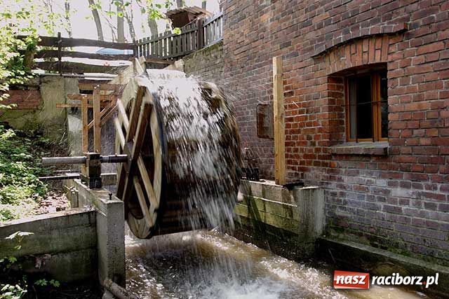 Zdjęcie w galerii na portalu naszraciborz.pl: Twork&oacute;w najpiękniejszą wsią 2008 wiadomości z regionu