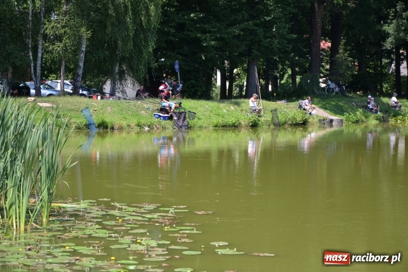 Zdjęcie w galerii na portalu naszraciborz.pl: Zawody wędkarskie na Trzecioku o Puchar Wójta Krzyżanowic  wiadomości z regionu