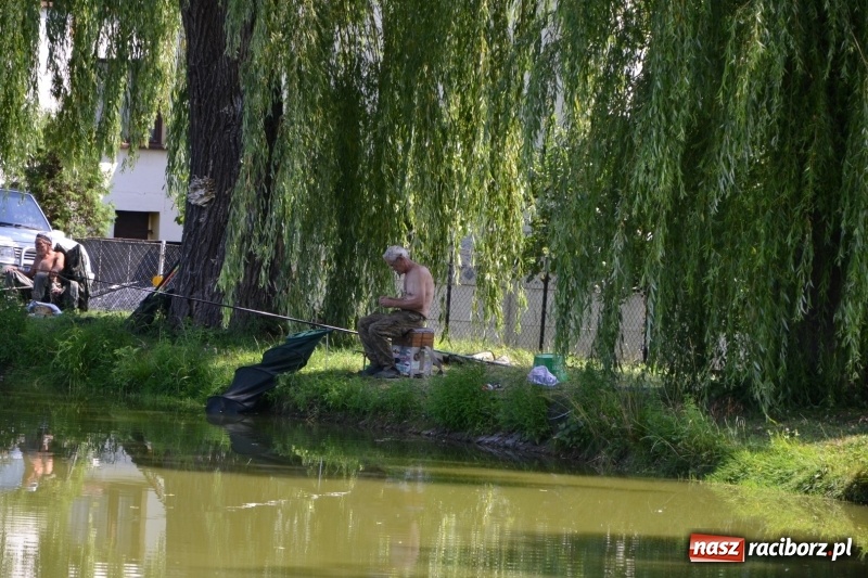 Zdjęcie w galerii na portalu naszraciborz.pl: Zawody wędkarskie na Trzecioku o Puchar Wójta Krzyżanowic  wiadomości z regionu