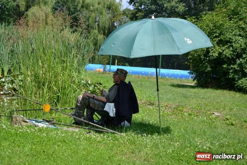 Zdjęcie w galerii na portalu naszraciborz.pl: Zawody wędkarskie na Trzecioku o Puchar Wójta Krzyżanowic  wiadomości z regionu