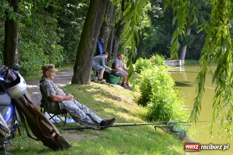 Zdjęcie w galerii na portalu naszraciborz.pl: Zawody wędkarskie na Trzecioku o Puchar Wójta Krzyżanowic  wiadomości z regionu