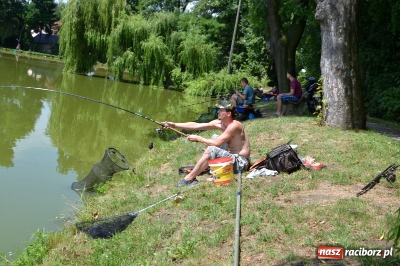 Zdjęcie w galerii na portalu naszraciborz.pl: Zawody wędkarskie na Trzecioku o Puchar Wójta Krzyżanowic  wiadomości z regionu