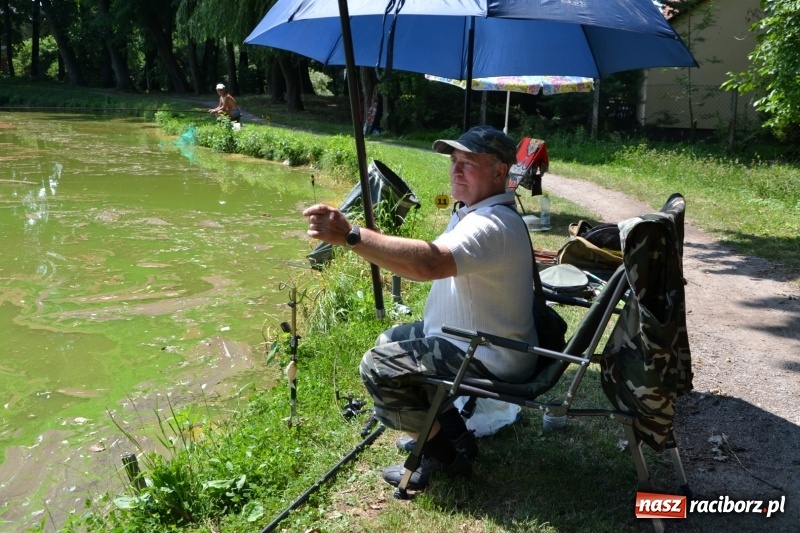 Zdjęcie w galerii na portalu naszraciborz.pl: Zawody wędkarskie na Trzecioku o Puchar Wójta Krzyżanowic  wiadomości z regionu