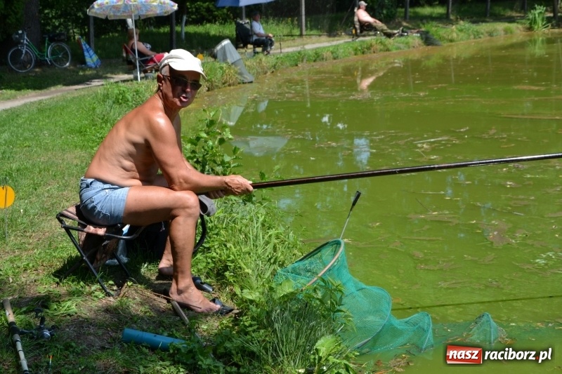 Zdjęcie w galerii na portalu naszraciborz.pl: Zawody wędkarskie na Trzecioku o Puchar Wójta Krzyżanowic  wiadomości z regionu