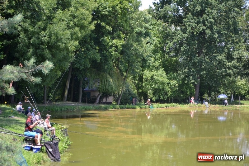 Zdjęcie w galerii na portalu naszraciborz.pl: Zawody wędkarskie na Trzecioku o Puchar Wójta Krzyżanowic  wiadomości z regionu