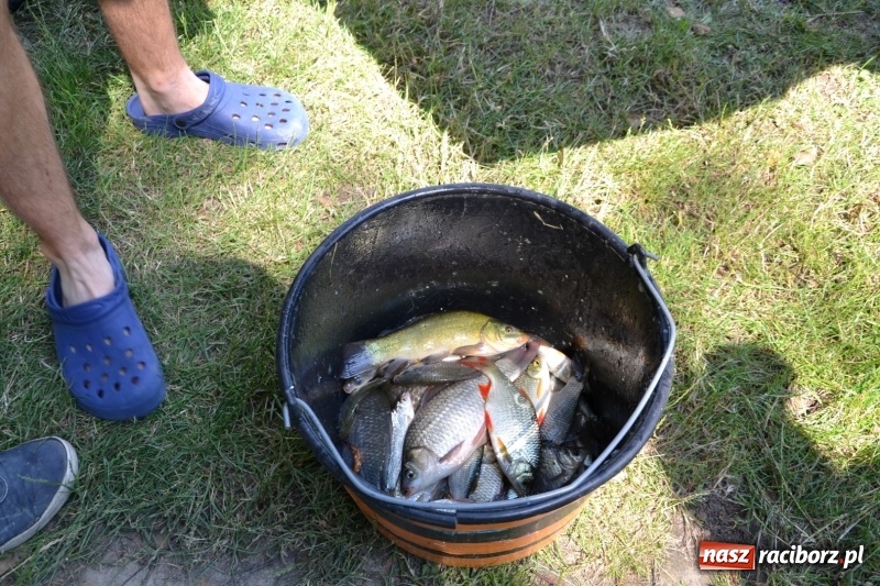 Zdjęcie w galerii na portalu naszraciborz.pl: Zawody wędkarskie na Trzecioku o Puchar Wójta Krzyżanowic  wiadomości z regionu