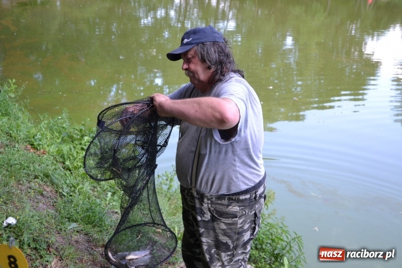 Zdjęcie w galerii na portalu naszraciborz.pl: Zawody wędkarskie na Trzecioku o Puchar Wójta Krzyżanowic  wiadomości z regionu
