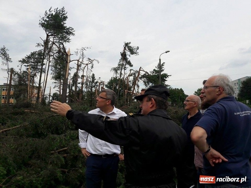 Zdjęcie w galerii na portalu naszraciborz.pl: Wojewoda nad lasami wokół Kuźni Raciborskiej. Poszkodowani mogą się ubiegać o pomoc  wiadomości z regionu