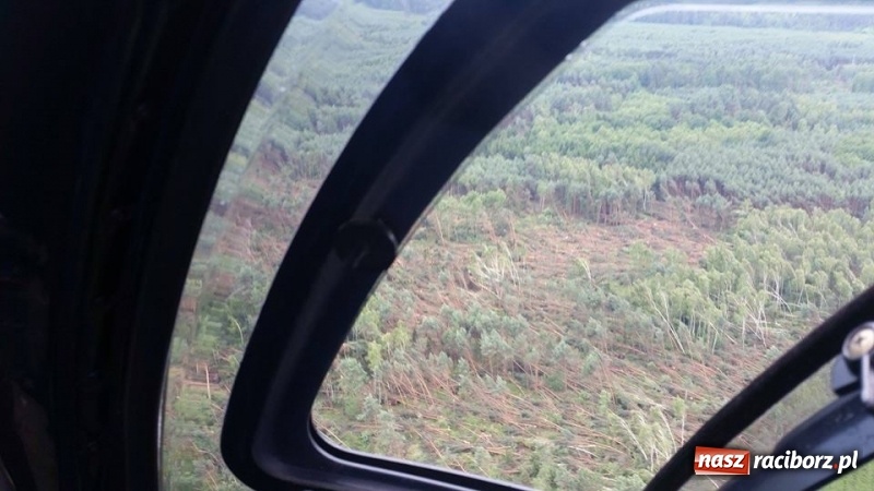 Zdjęcie w galerii na portalu naszraciborz.pl: Wojewoda nad lasami wokół Kuźni Raciborskiej. Poszkodowani mogą się ubiegać o pomoc  wiadomości z regionu