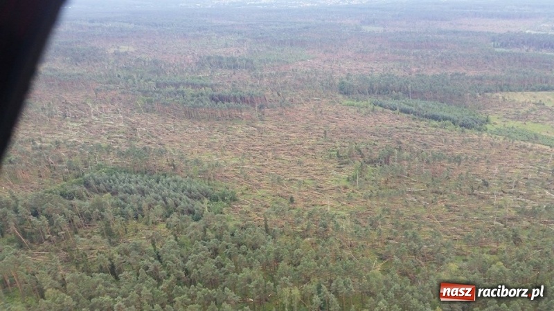 Zdjęcie w galerii na portalu naszraciborz.pl: Wojewoda nad lasami wokół Kuźni Raciborskiej. Poszkodowani mogą się ubiegać o pomoc  wiadomości z regionu