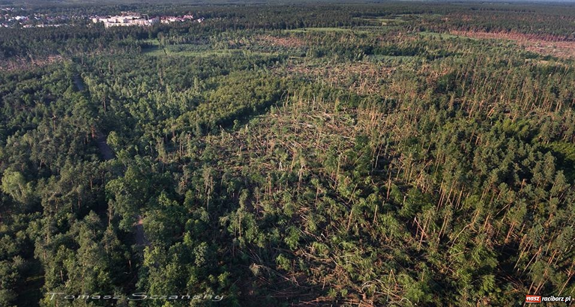 Zdjęcie w galerii na portalu naszraciborz.pl: Nawałnica zniszczyła tyle drzew, ile rocznie wycina się w czterech nadleśnictwach wiadomości z regionu