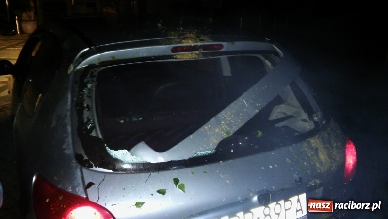 Zdjęcie w galerii na portalu naszraciborz.pl: Zniszczenia w Aquabraxie były ogromne. Ośrodek działa już normalnie FOTORELACJA wiadomości z regionu