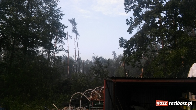 Zdjęcie w galerii na portalu naszraciborz.pl: Zniszczenia w Aquabraxie były ogromne. Ośrodek działa już normalnie FOTORELACJA wiadomości z regionu