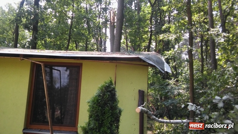 Zdjęcie w galerii na portalu naszraciborz.pl: Zniszczenia w Aquabraxie były ogromne. Ośrodek działa już normalnie FOTORELACJA wiadomości z regionu