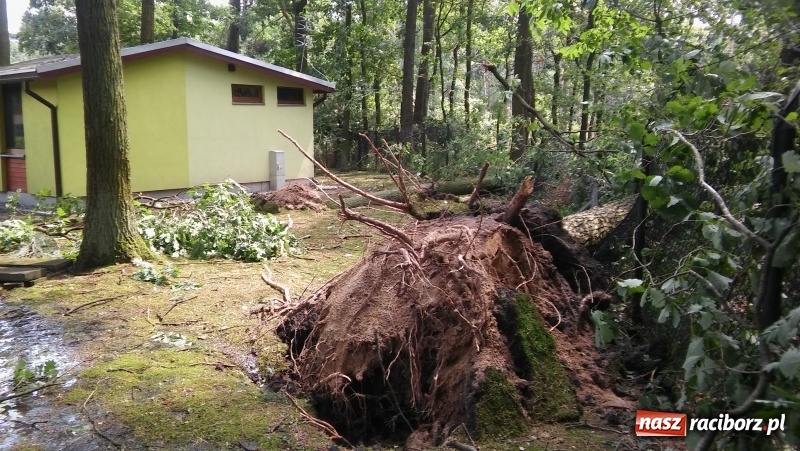 Zdjęcie w galerii na portalu naszraciborz.pl: Zniszczenia w Aquabraxie były ogromne. Ośrodek działa już normalnie FOTORELACJA wiadomości z regionu