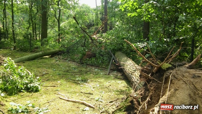 Zdjęcie w galerii na portalu naszraciborz.pl: Zniszczenia w Aquabraxie były ogromne. Ośrodek działa już normalnie FOTORELACJA wiadomości z regionu