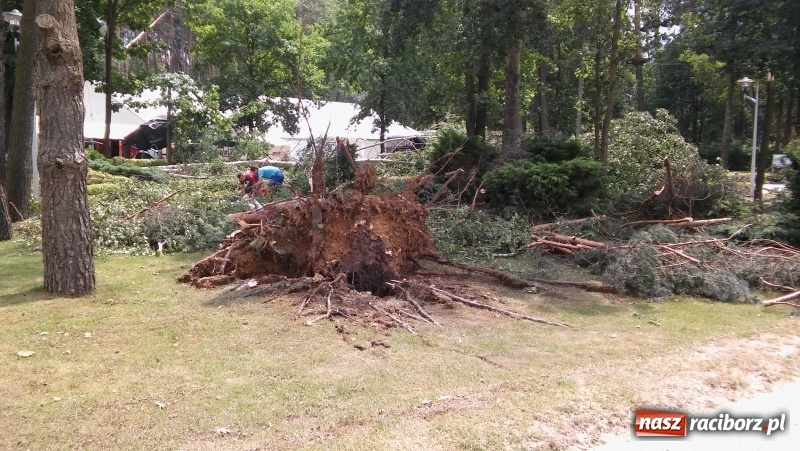 Zdjęcie w galerii na portalu naszraciborz.pl: Zniszczenia w Aquabraxie były ogromne. Ośrodek działa już normalnie FOTORELACJA wiadomości z regionu