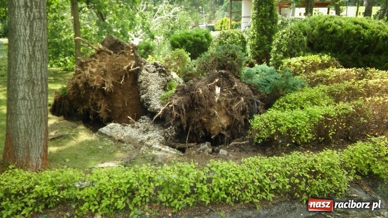 Zdjęcie w galerii na portalu naszraciborz.pl: Zniszczenia w Aquabraxie były ogromne. Ośrodek działa już normalnie FOTORELACJA wiadomości z regionu