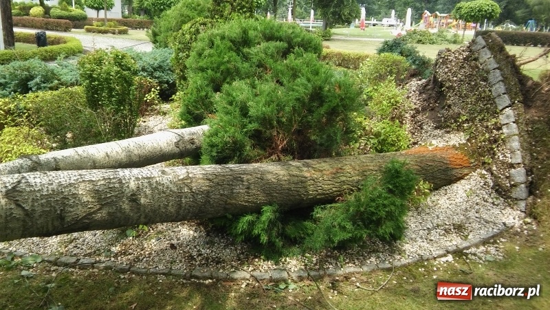 Zdjęcie w galerii na portalu naszraciborz.pl: Zniszczenia w Aquabraxie były ogromne. Ośrodek działa już normalnie FOTORELACJA wiadomości z regionu
