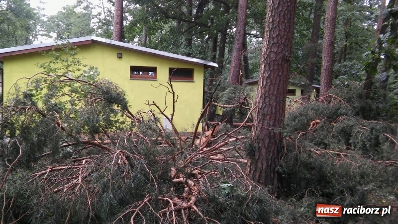 Zdjęcie w galerii na portalu naszraciborz.pl: Zniszczenia w Aquabraxie były ogromne. Ośrodek działa już normalnie FOTORELACJA wiadomości z regionu