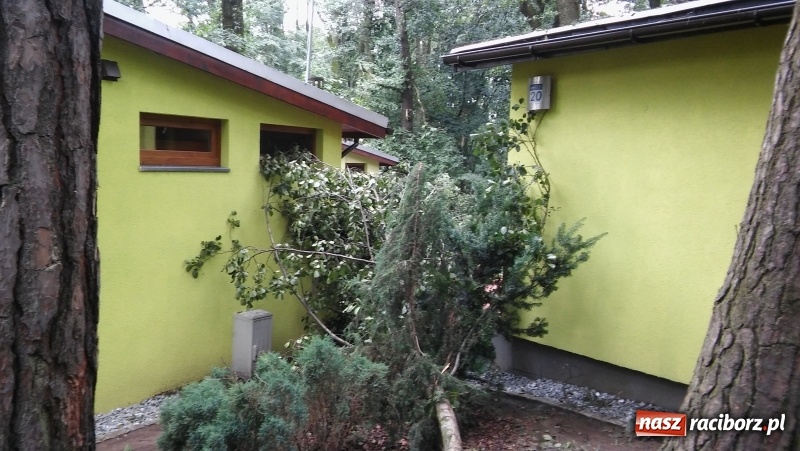 Zdjęcie w galerii na portalu naszraciborz.pl: Zniszczenia w Aquabraxie były ogromne. Ośrodek działa już normalnie FOTORELACJA wiadomości z regionu