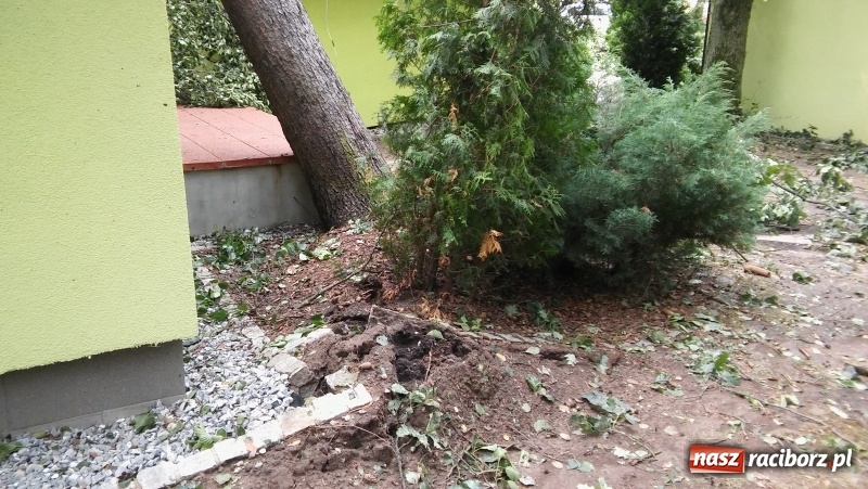 Zdjęcie w galerii na portalu naszraciborz.pl: Zniszczenia w Aquabraxie były ogromne. Ośrodek działa już normalnie FOTORELACJA wiadomości z regionu