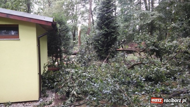 Zdjęcie w galerii na portalu naszraciborz.pl: Zniszczenia w Aquabraxie były ogromne. Ośrodek działa już normalnie FOTORELACJA wiadomości z regionu