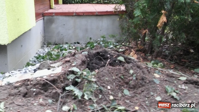 Zdjęcie w galerii na portalu naszraciborz.pl: Zniszczenia w Aquabraxie były ogromne. Ośrodek działa już normalnie FOTORELACJA wiadomości z regionu