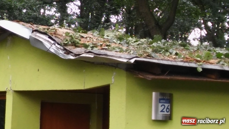 Zdjęcie w galerii na portalu naszraciborz.pl: Zniszczenia w Aquabraxie były ogromne. Ośrodek działa już normalnie FOTORELACJA wiadomości z regionu