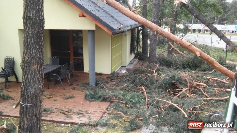 Zdjęcie w galerii na portalu naszraciborz.pl: Zniszczenia w Aquabraxie były ogromne. Ośrodek działa już normalnie FOTORELACJA wiadomości z regionu
