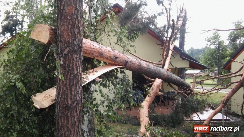 Zdjęcie w galerii na portalu naszraciborz.pl: Zniszczenia w Aquabraxie były ogromne. Ośrodek działa już normalnie FOTORELACJA wiadomości z regionu