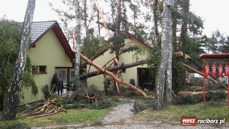 Zdjęcie w galerii na portalu naszraciborz.pl: Zniszczenia w Aquabraxie były ogromne. Ośrodek działa już normalnie FOTORELACJA wiadomości z regionu