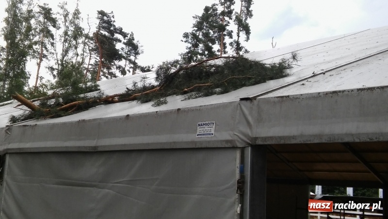 Zdjęcie w galerii na portalu naszraciborz.pl: Zniszczenia w Aquabraxie były ogromne. Ośrodek działa już normalnie FOTORELACJA wiadomości z regionu