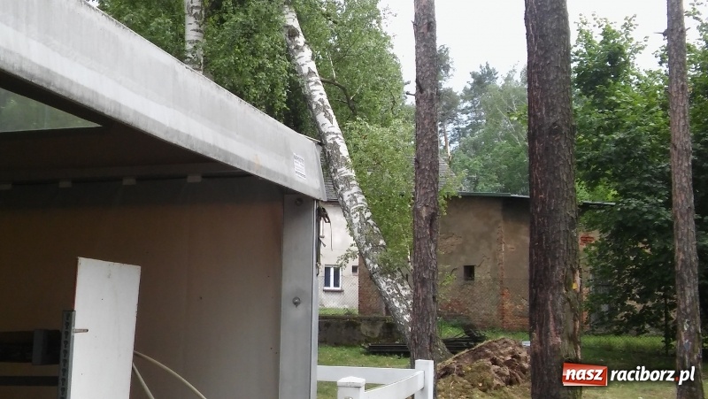 Zdjęcie w galerii na portalu naszraciborz.pl: Zniszczenia w Aquabraxie były ogromne. Ośrodek działa już normalnie FOTORELACJA wiadomości z regionu