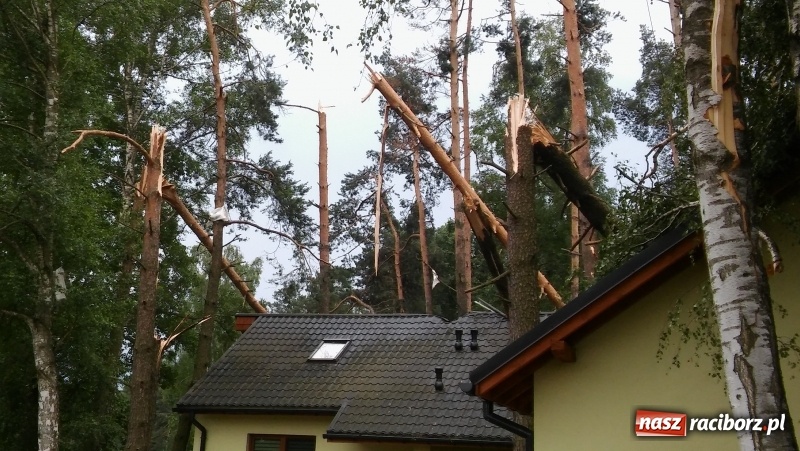 Zdjęcie w galerii na portalu naszraciborz.pl: Zniszczenia w Aquabraxie były ogromne. Ośrodek działa już normalnie FOTORELACJA wiadomości z regionu