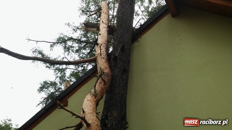 Zdjęcie w galerii na portalu naszraciborz.pl: Zniszczenia w Aquabraxie były ogromne. Ośrodek działa już normalnie FOTORELACJA wiadomości z regionu