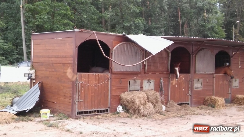 Zdjęcie w galerii na portalu naszraciborz.pl: Zniszczenia w Aquabraxie były ogromne. Ośrodek działa już normalnie FOTORELACJA wiadomości z regionu